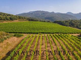 Terreno agricolo in vendita a calangianus via sigara