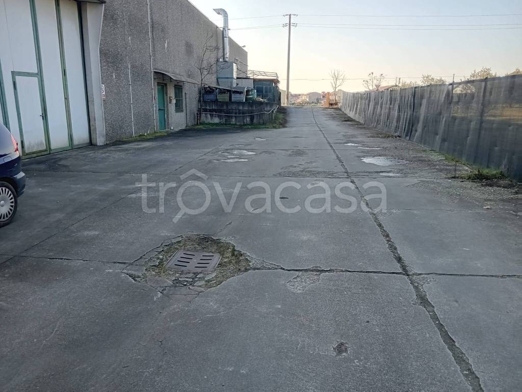 immagine annuncio 1 di 7