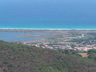 Terreno agricolo in vendita a san teodoro località terrapadedda, snc