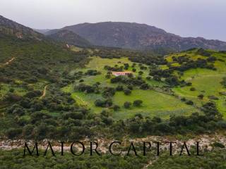 Terreno agricolo in vendita a berchidda loc. osseddu