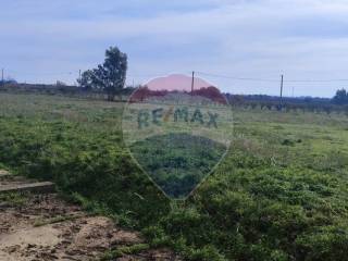 Terreno agricolo in vendita a ramacca contrada iannarello