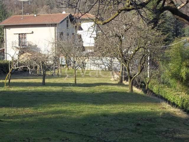immagine annuncio 9 di 14