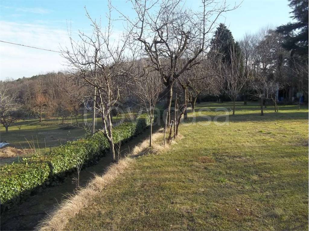 immagine annuncio 11 di 14