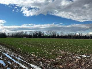 Terreno agricolo in vendita a martellago 