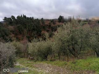 Terreno agricolo in vendita a montevarchi 