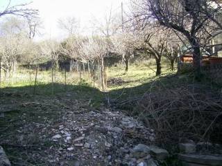 Terreno agricolo all'asta a cerchiara di calabria via nazionale ss92, provincia di cosenza, italia