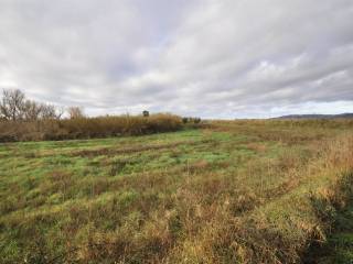 Terreno agricolo in vendita a suvereto 