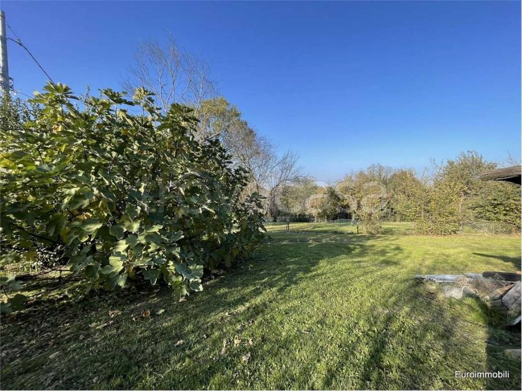 immagine annuncio 3 di 7