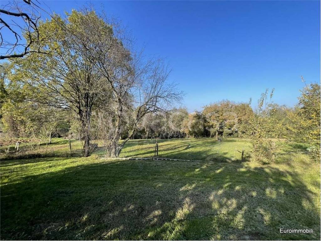 immagine annuncio 4 di 7