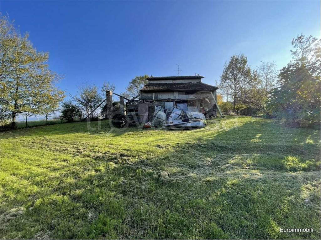 immagine annuncio 5 di 7