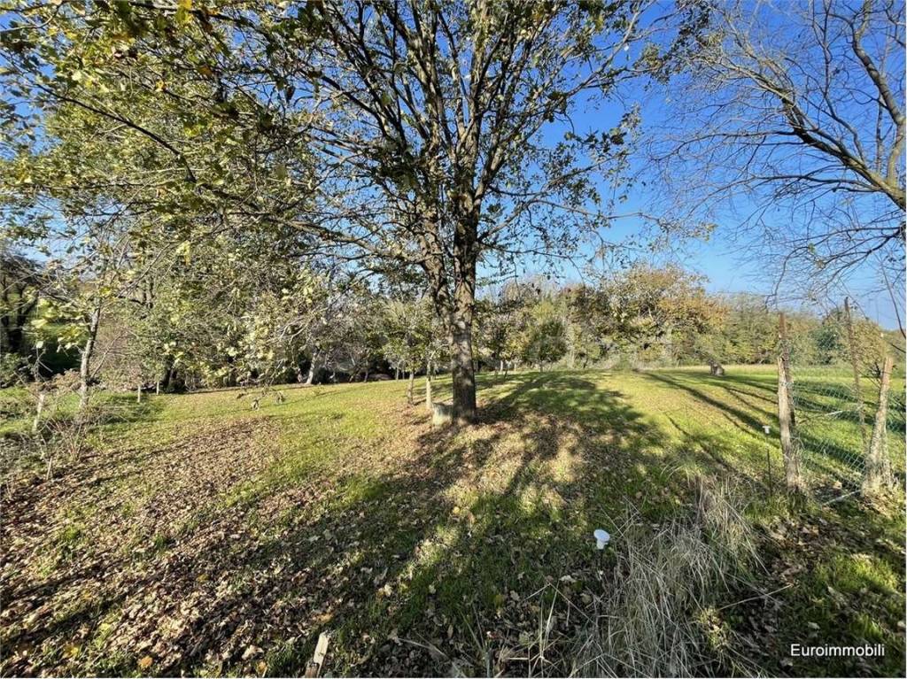 immagine annuncio 6 di 7