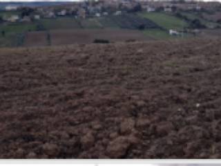 Terreno agricolo all'asta a fermo strada comunale moje