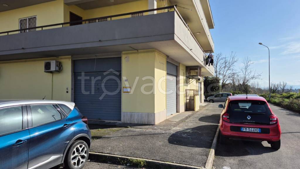 immagine annuncio 1 di 4