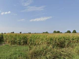 Terreno agricolo all'asta a guidizzolo via marchionale