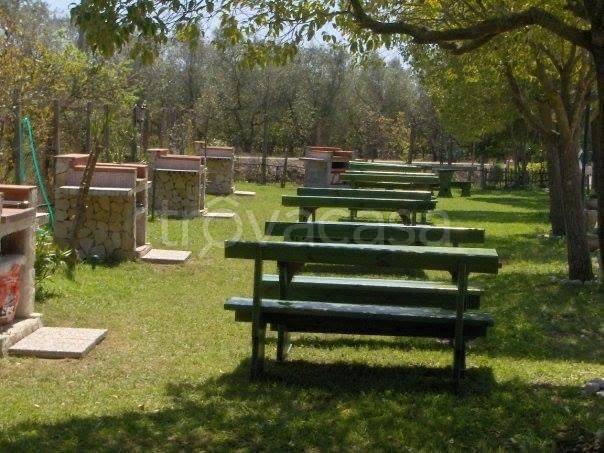 immagine annuncio 6 di 12