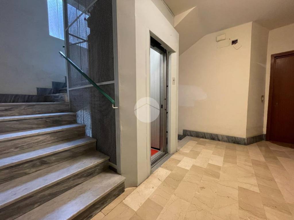 immagine annuncio 3 di 12