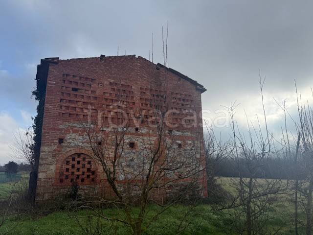 immagine annuncio 2 di 8