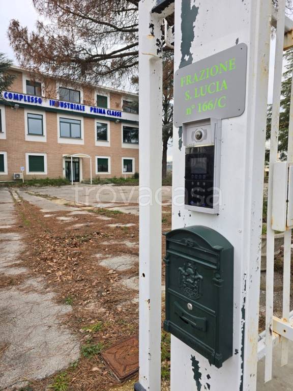 immagine annuncio 12 di 14