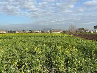 Terreno residenziale in vendita a marcianise via trentola