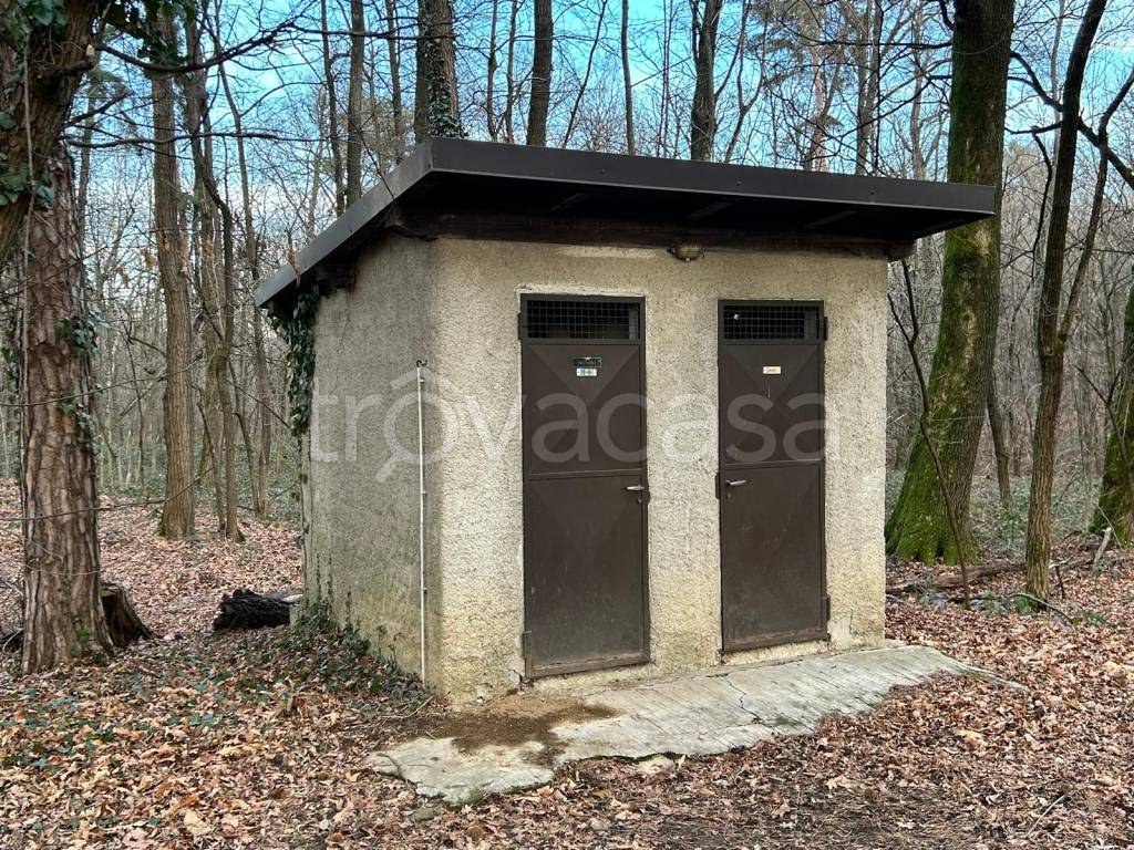 immagine annuncio 10 di 15