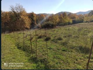 Terreno agricolo all'asta a trivigliano via paterno