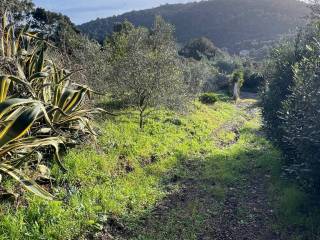 Terreno agricolo in vendita a rio località san felo, 14