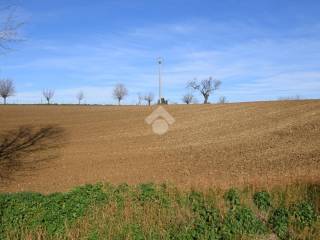 Terreno agricolo in vendita a misano adriatico via fontanone, 1