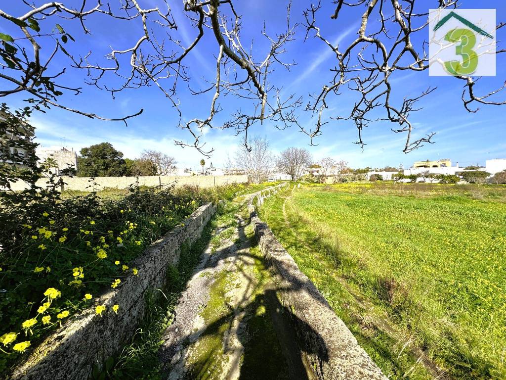 immagine annuncio 6 di 8