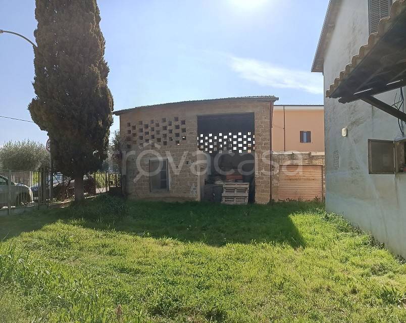 immagine annuncio 5 di 11
