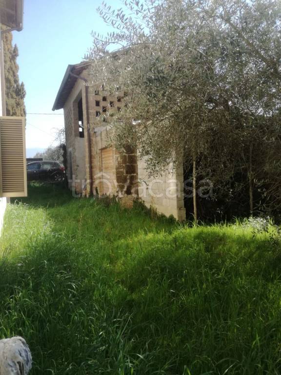 immagine annuncio 7 di 11