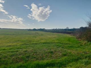 Terreno agricolo in vendita a tuscania località selva castalda