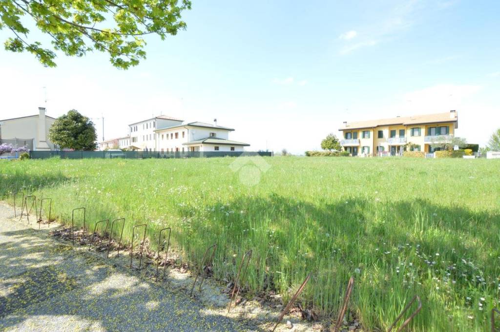 immagine annuncio 10 di 14