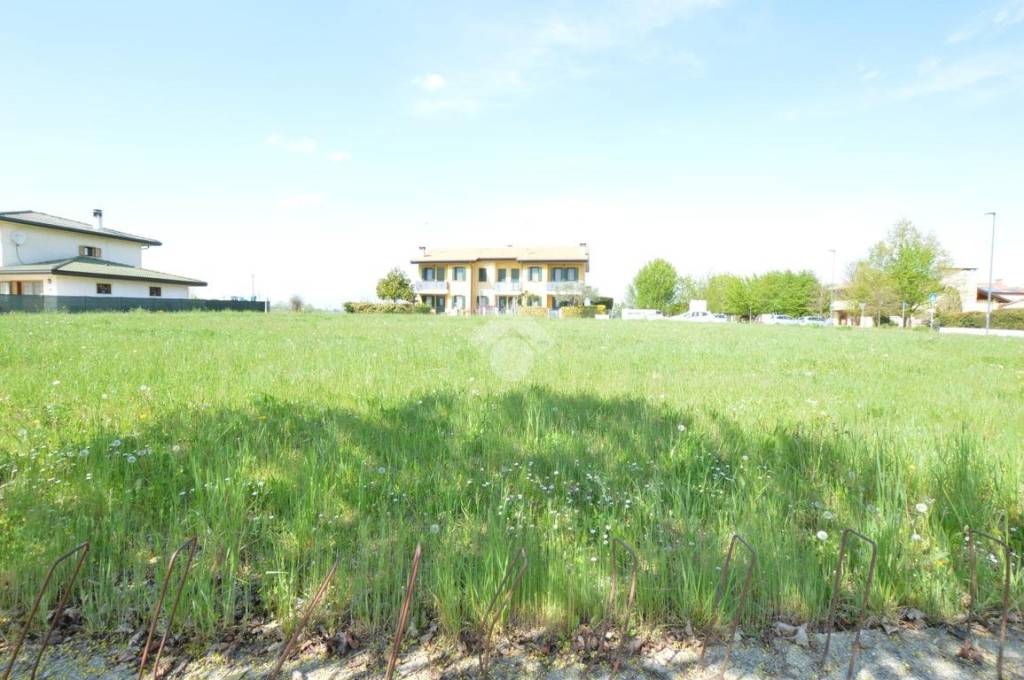 immagine annuncio 11 di 14