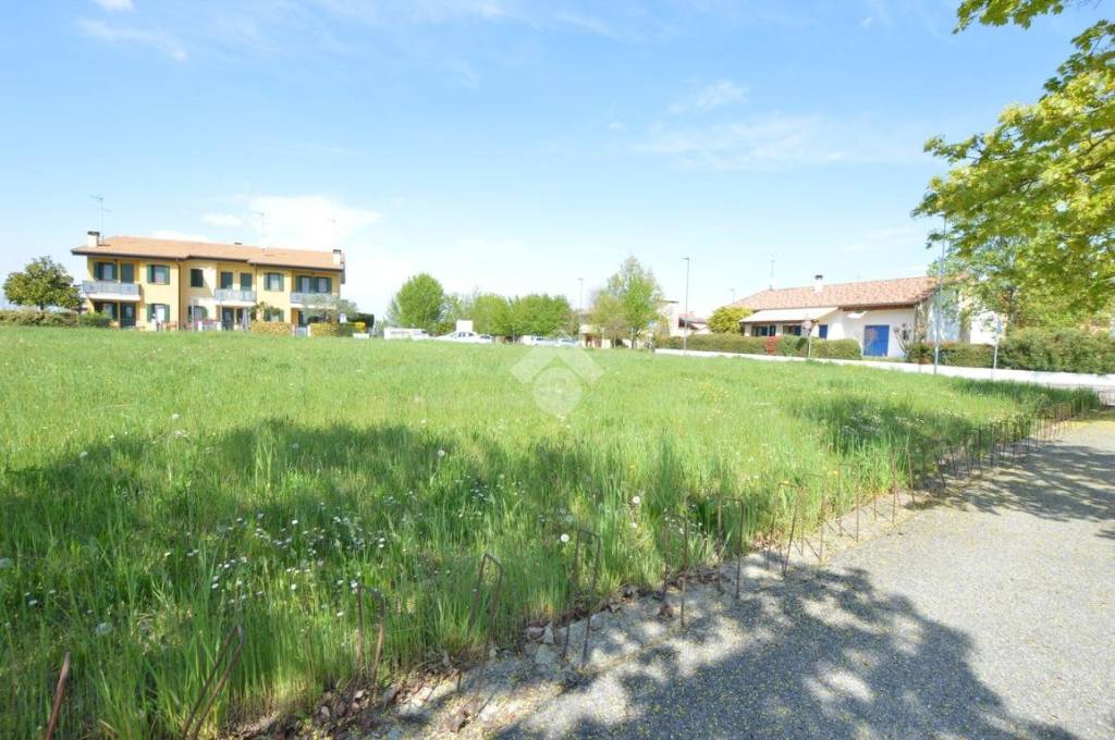 immagine annuncio 12 di 14