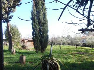 Terreno agricolo in vendita a pesaro 