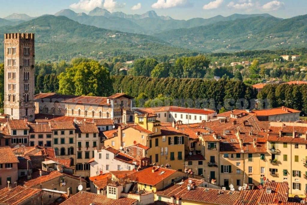 immagine annuncio 8 di 12