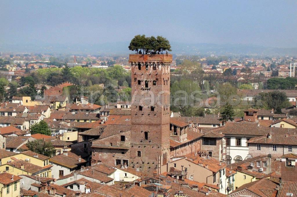 immagine annuncio 9 di 12