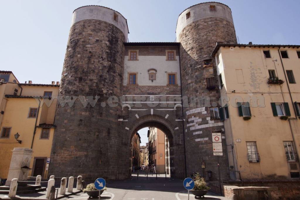 immagine annuncio 10 di 12