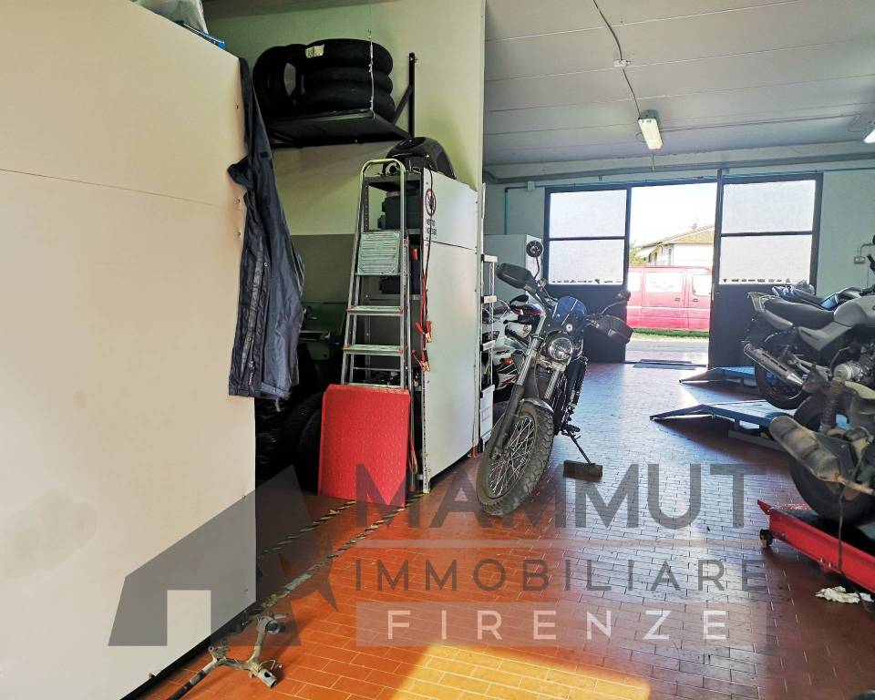 immagine annuncio 12 di 15
