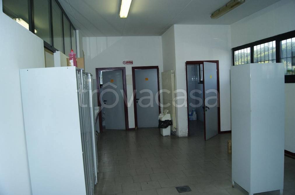 immagine annuncio 3 di 8