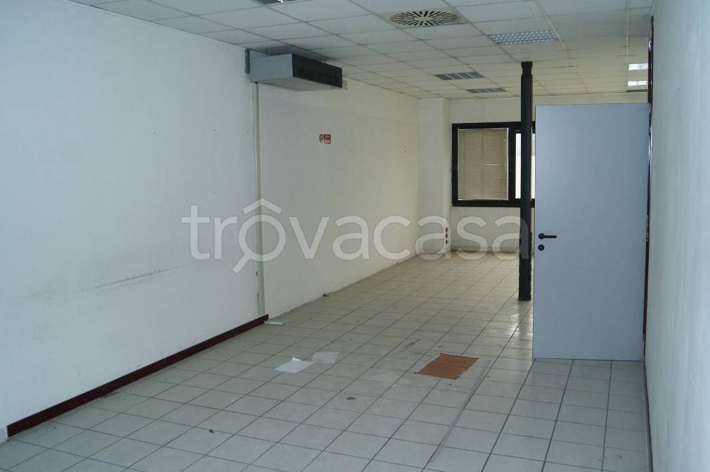 immagine annuncio 5 di 8