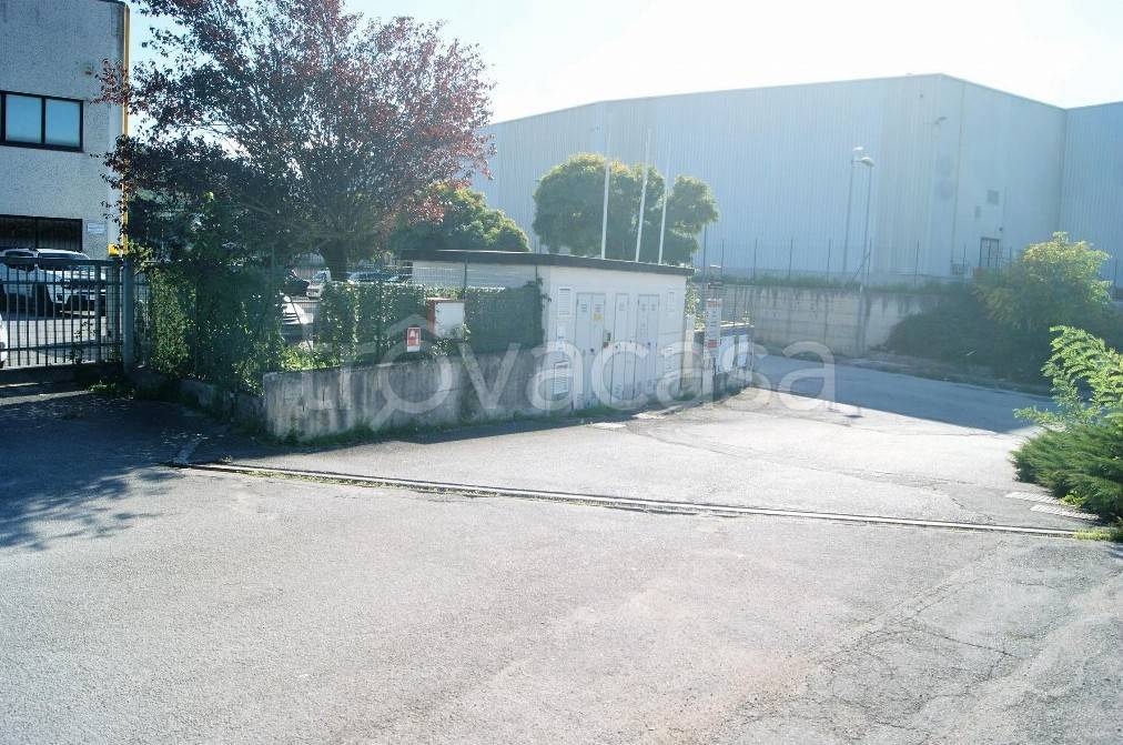 immagine annuncio 6 di 8