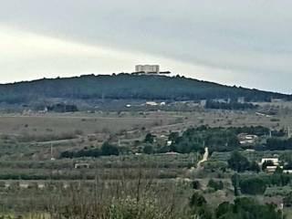 Terreno agricolo in vendita ad andria contrada san marzano