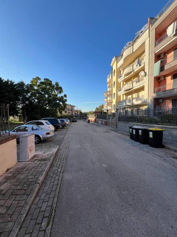 immagine annuncio 3 di 13
