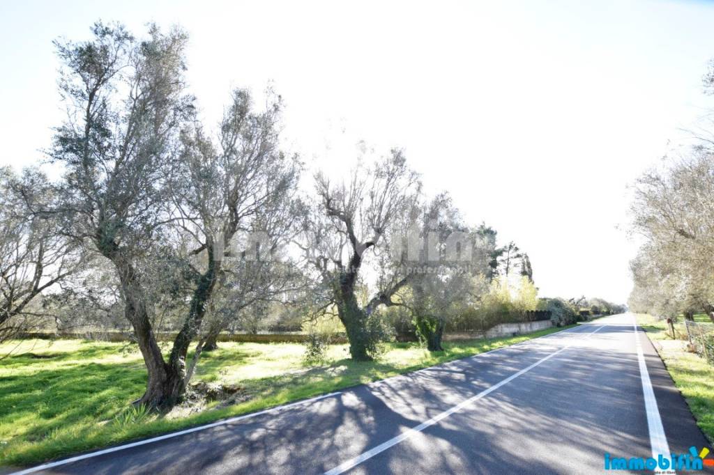 immagine annuncio 9 di 11