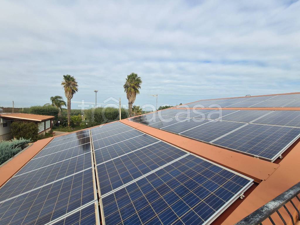 immagine annuncio 3 di 8