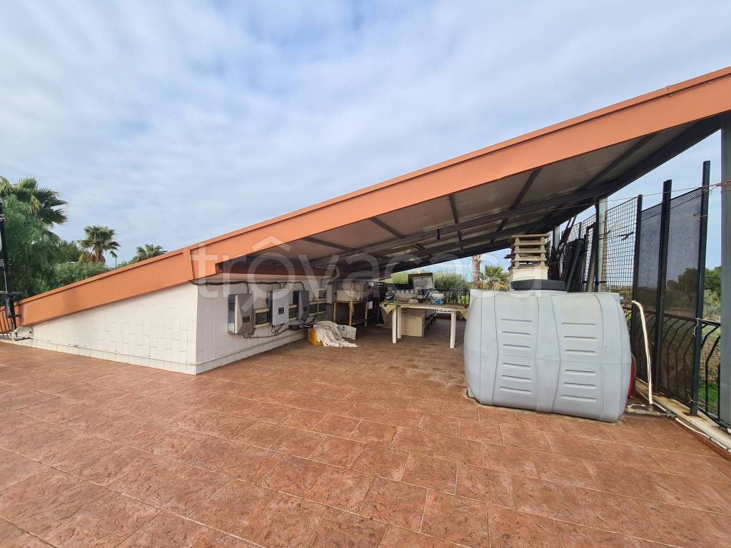 immagine annuncio 4 di 8