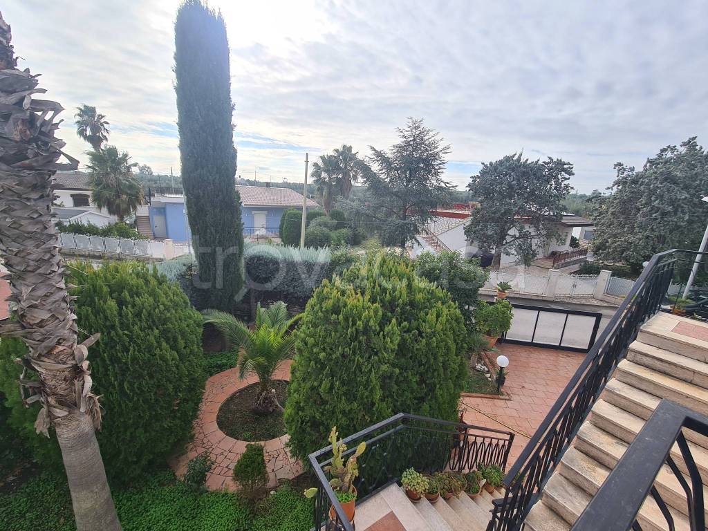 immagine annuncio 7 di 8