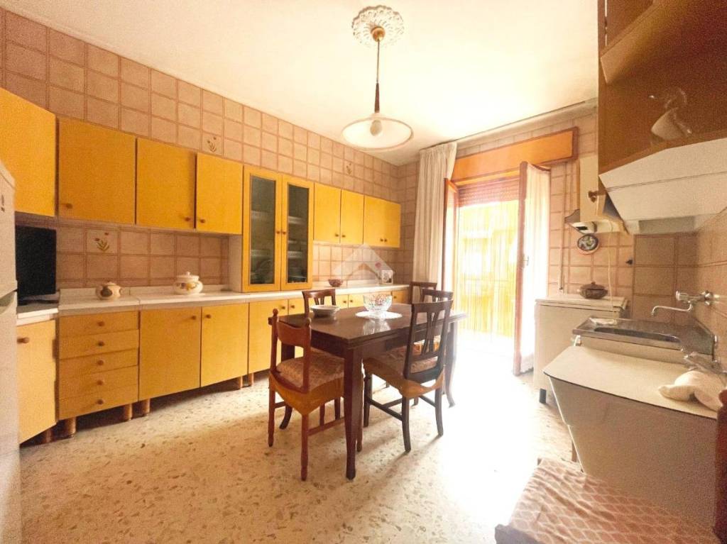 immagine annuncio 7 di 14