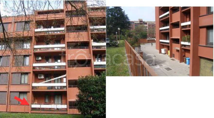 immagine annuncio 6 di 15